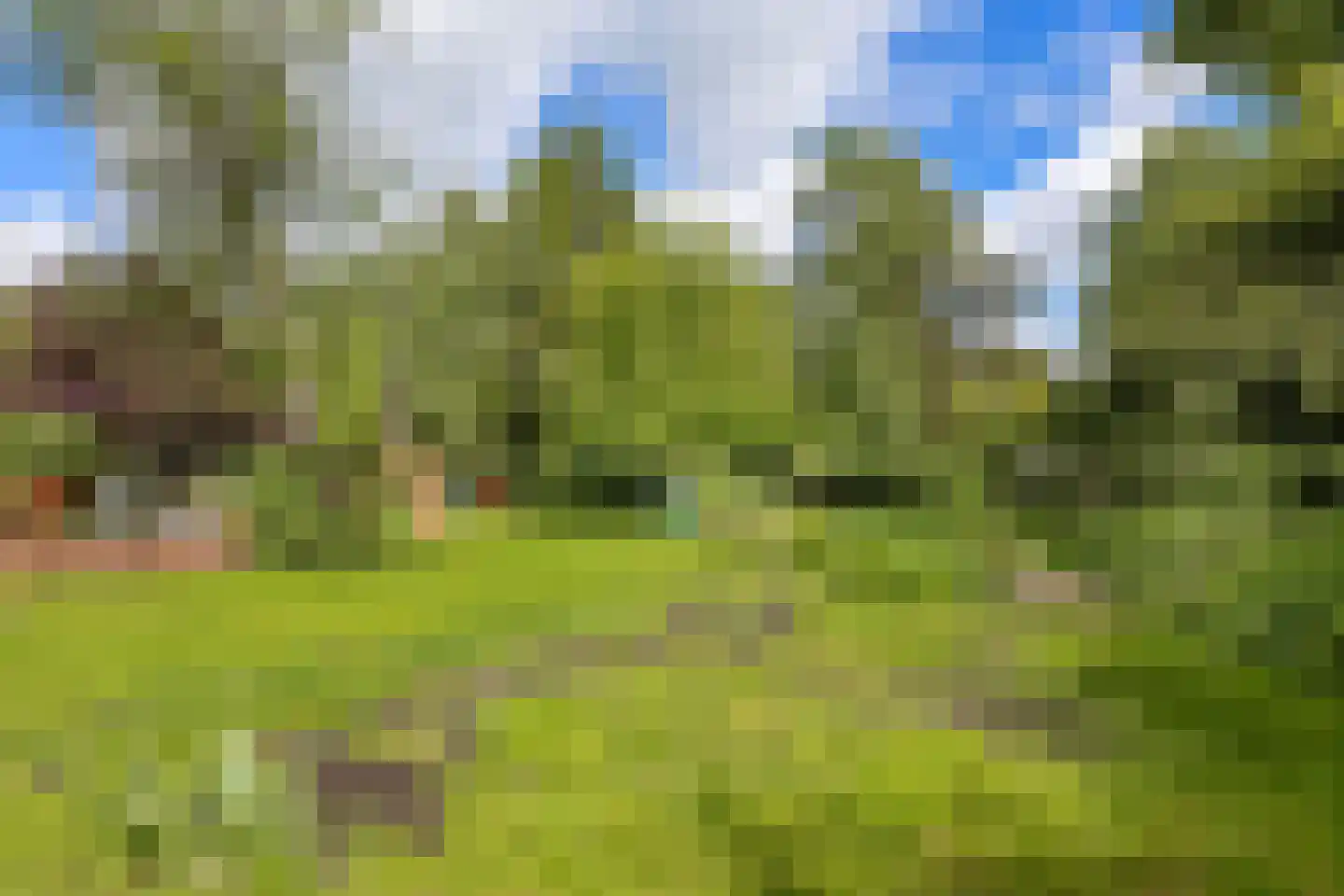 Engelberterweg 85 a Groningen thumbnail 43
