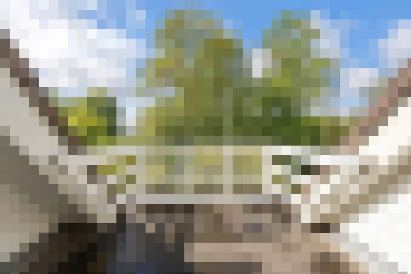 Engelberterweg 85 Groningen thumbnail 38