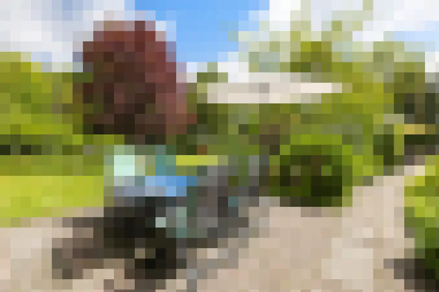 Engelberterweg 85 Groningen thumbnail 41