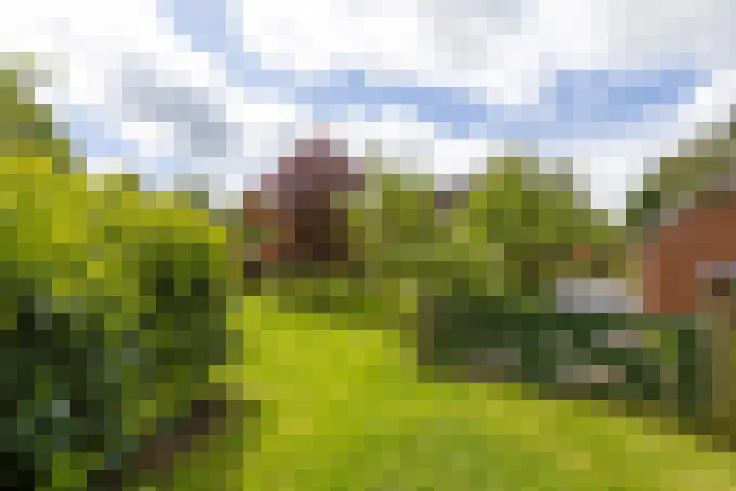 Engelberterweg 85 Groningen thumbnail 46