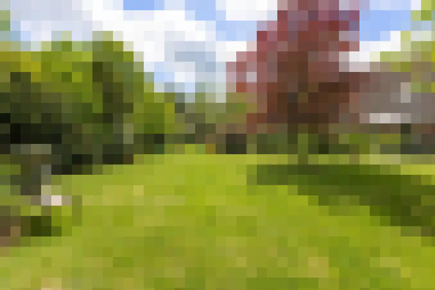 Engelberterweg 85 Groningen thumbnail 47