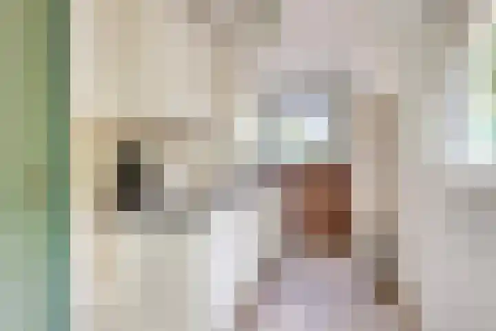 Engelberterweg 87 Groningen thumbnail 10