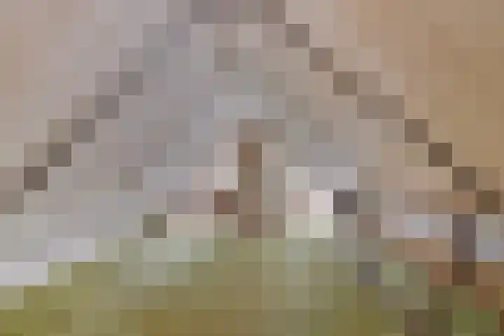 Engelberterweg 87 Groningen thumbnail 21