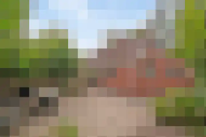 Engelberterweg 87 Groningen thumbnail 22