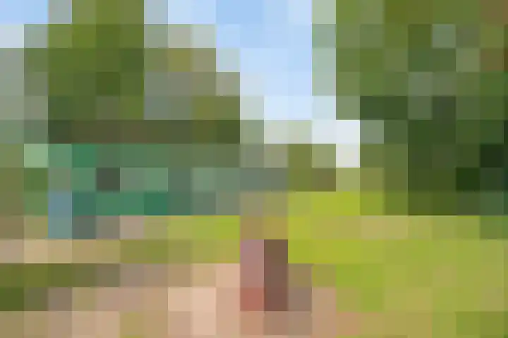 Engelberterweg 87 Groningen thumbnail 23