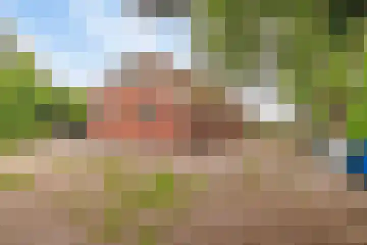 Engelberterweg 87 Groningen thumbnail 27