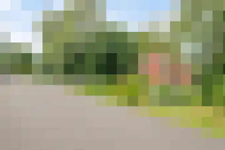 Engelberterweg 87 Groningen thumbnail 28