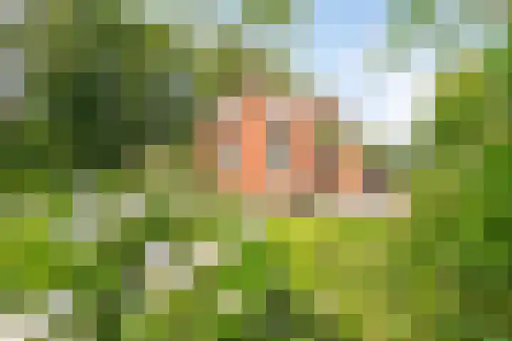 Engelberterweg 87 Groningen thumbnail 29