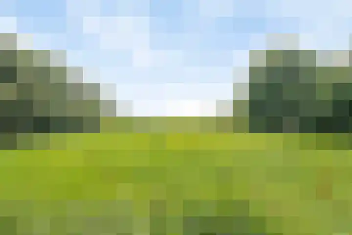 Engelberterweg 87 Groningen thumbnail 4