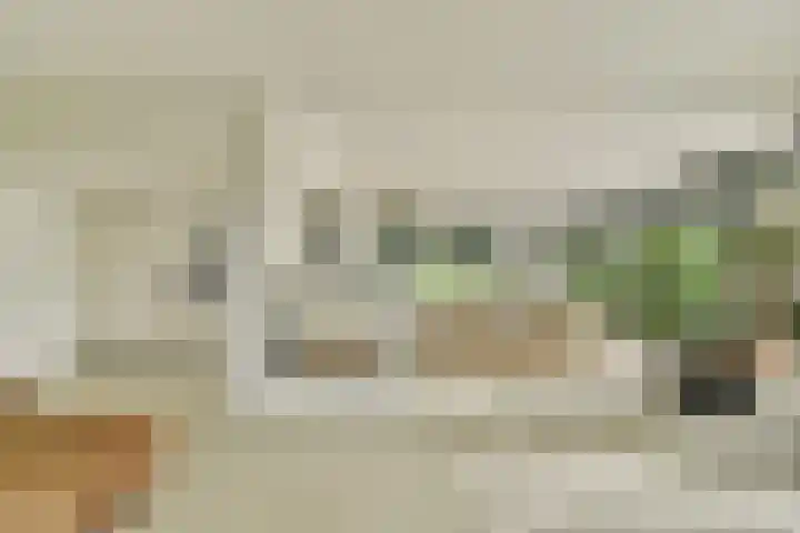 Engelbrechtlaan 5 Vlaardingen thumbnail 10