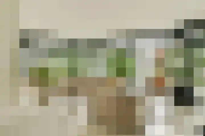 Engelbrechtlaan 5 Vlaardingen thumbnail 11