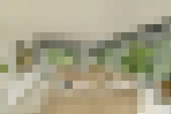 Engelbrechtlaan 5 Vlaardingen thumbnail 12