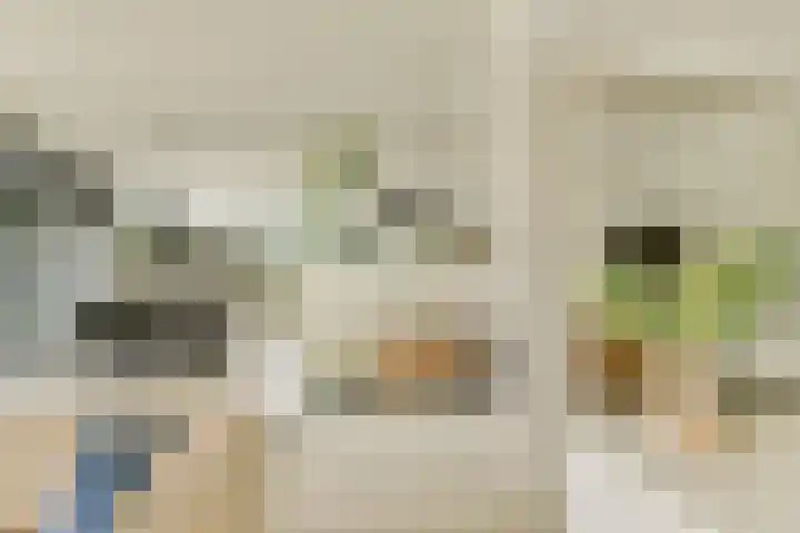 Engelbrechtlaan 5 Vlaardingen thumbnail 13