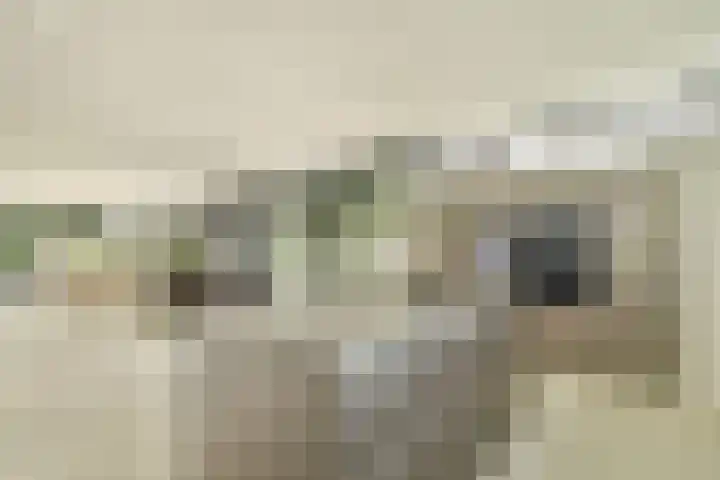 Engelbrechtlaan 5 Vlaardingen thumbnail 17