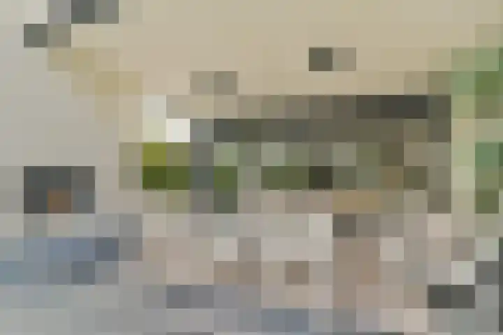 Engelbrechtlaan 5 Vlaardingen thumbnail 19