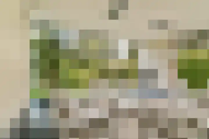 Engelbrechtlaan 5 Vlaardingen thumbnail 20