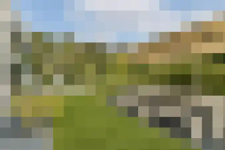 Engelbrechtlaan 5 Vlaardingen thumbnail 21