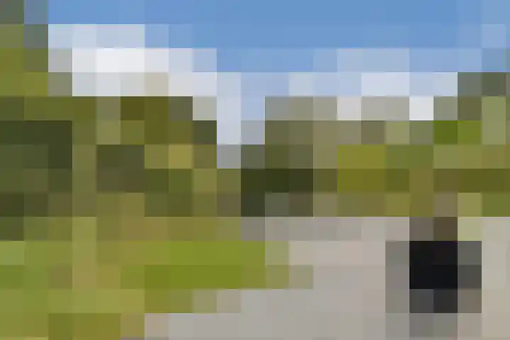 Engelbrechtlaan 5 Vlaardingen thumbnail 24
