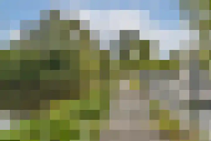 Engelbrechtlaan 5 Vlaardingen thumbnail 26