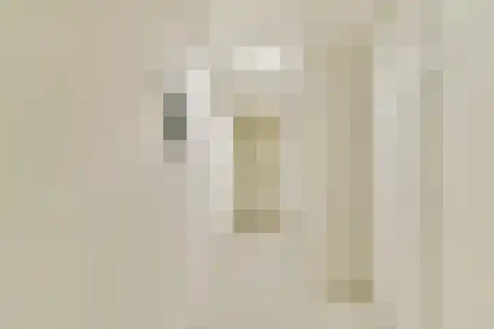 Engelbrechtlaan 5 Vlaardingen thumbnail 30