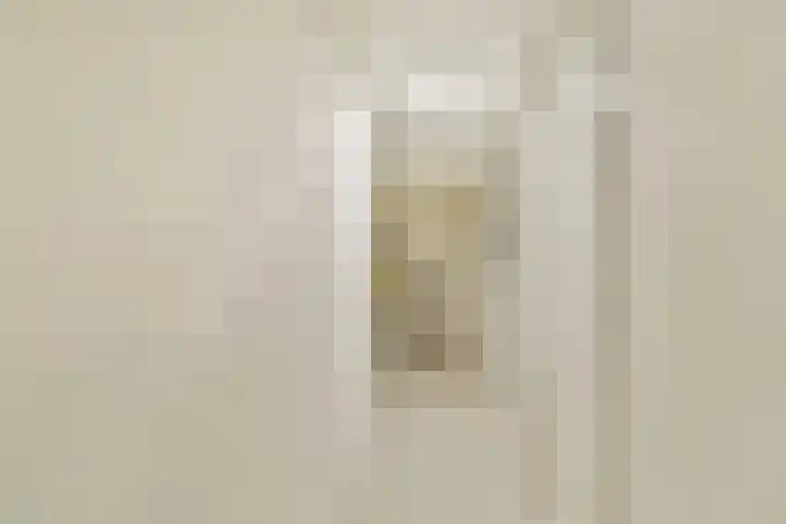 Engelbrechtlaan 5 Vlaardingen thumbnail 31