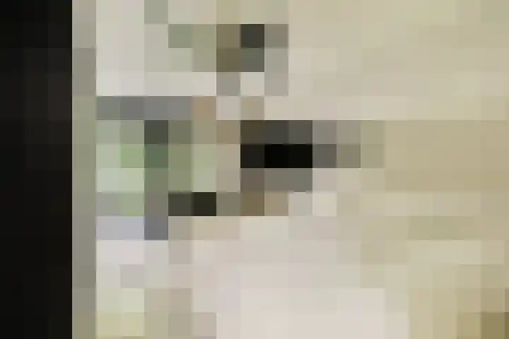Engelbrechtlaan 5 Vlaardingen thumbnail 32