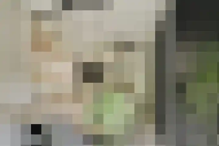 Engelbrechtlaan 5 Vlaardingen thumbnail 33