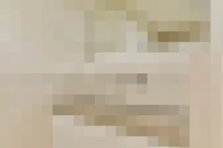 Engelbrechtlaan 5 Vlaardingen thumbnail 36