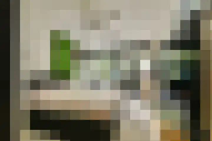 Engelbrechtlaan 5 Vlaardingen thumbnail 37