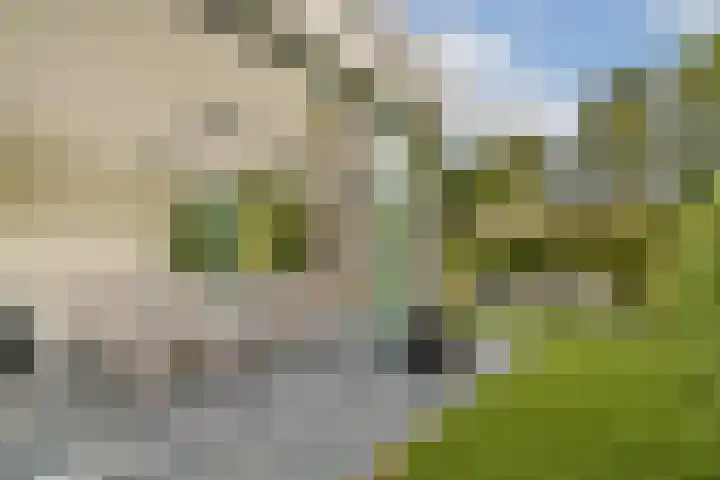 Engelbrechtlaan 5 Vlaardingen thumbnail 4