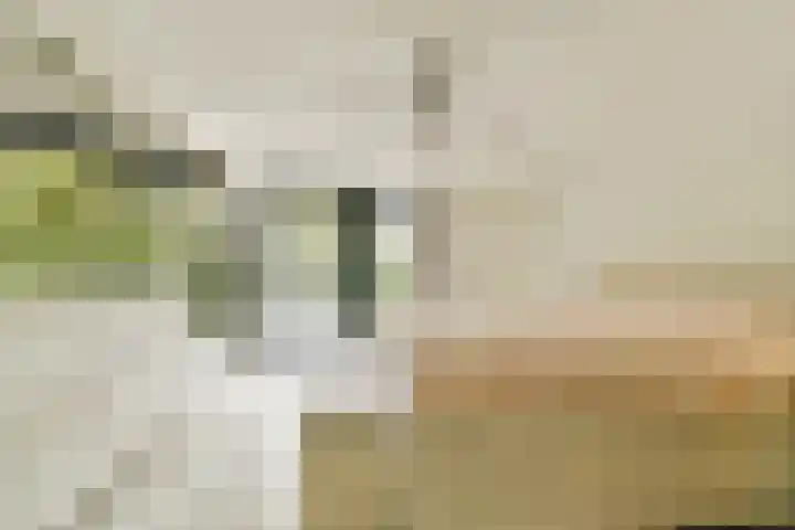 Engelbrechtlaan 5 Vlaardingen thumbnail 41