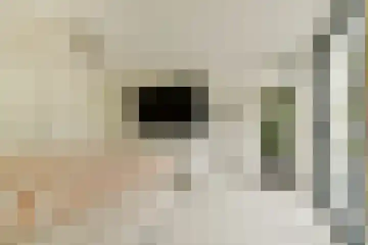 Engelbrechtlaan 5 Vlaardingen thumbnail 42