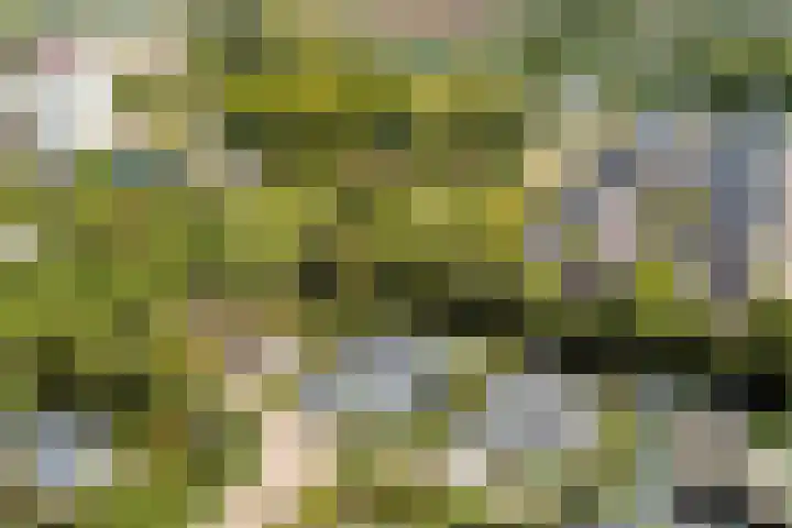 Engelbrechtlaan 5 Vlaardingen thumbnail 47
