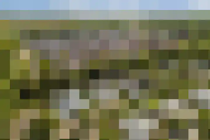 Engelbrechtlaan 5 Vlaardingen thumbnail 48