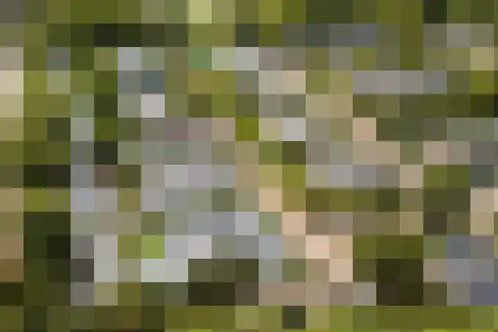 Engelbrechtlaan 5 Vlaardingen thumbnail 49