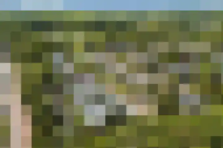 Engelbrechtlaan 5 Vlaardingen thumbnail 50