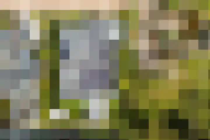 Engelbrechtlaan 5 Vlaardingen thumbnail 51