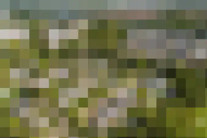 Engelbrechtlaan 5 Vlaardingen thumbnail 52