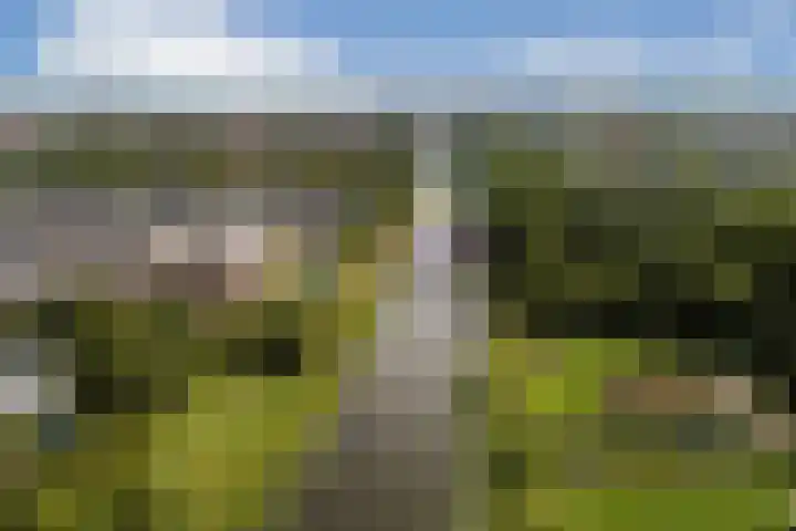 Engelbrechtlaan 5 Vlaardingen thumbnail 53