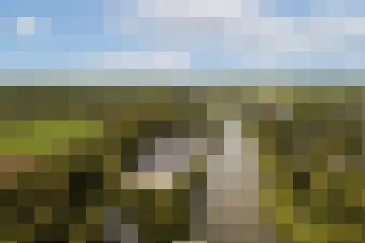 Engelbrechtlaan 5 Vlaardingen thumbnail 54