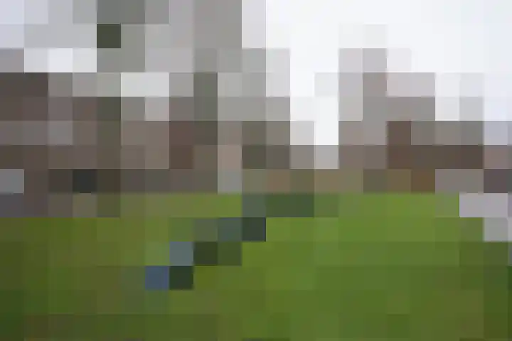 Engelen van Pijlsweertstraat 1 BS Utrecht thumbnail 30