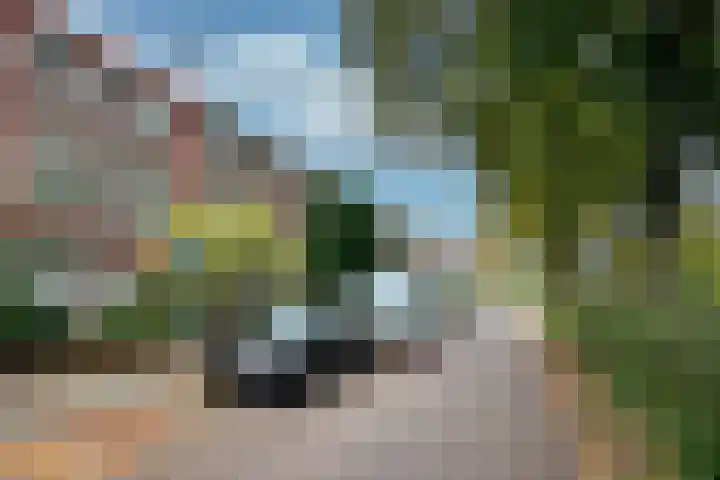 Engelen van Pijlsweertstraat 10 BS Utrecht thumbnail 4
