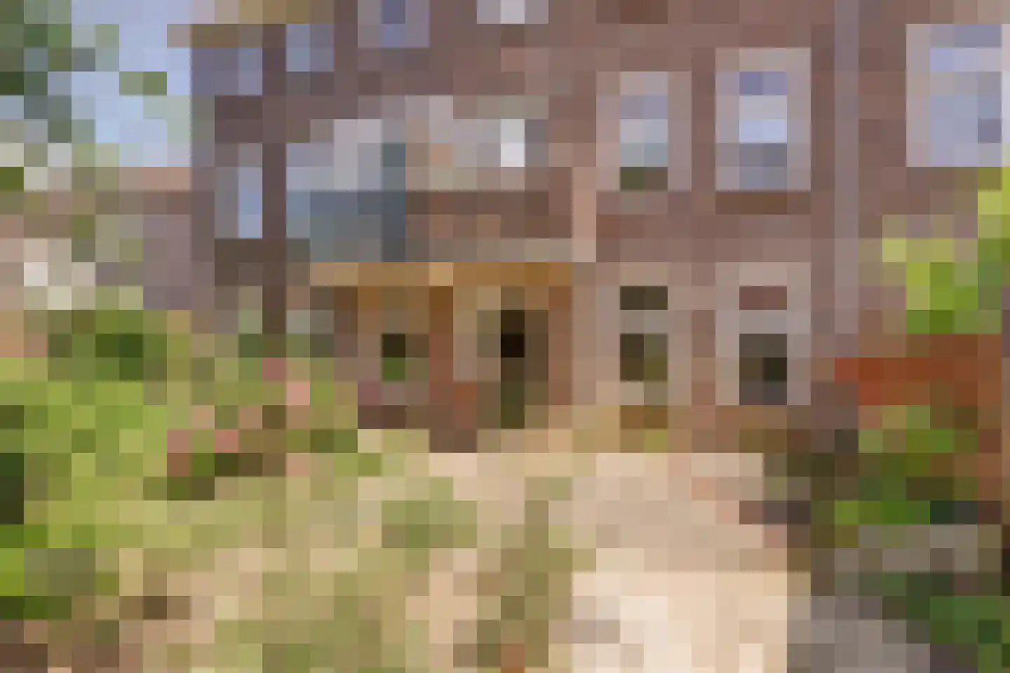 Engelen van Pijlsweertstraat 18 Utrecht thumbnail 21