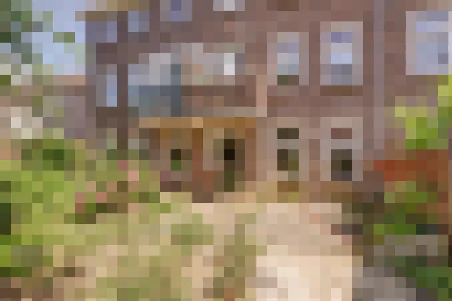 Engelen van Pijlsweertstraat 18 Utrecht thumbnail 22