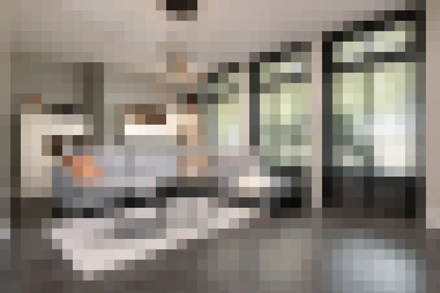 Engelenbeemden 2 Helmond thumbnail 13