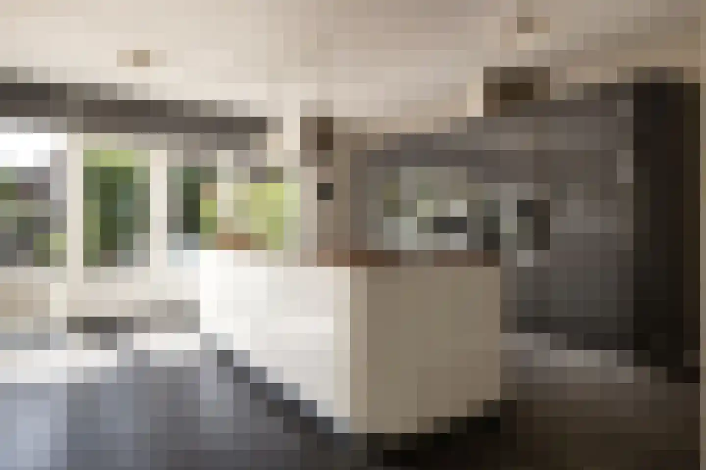 Engelenbeemden 2 Helmond thumbnail 19