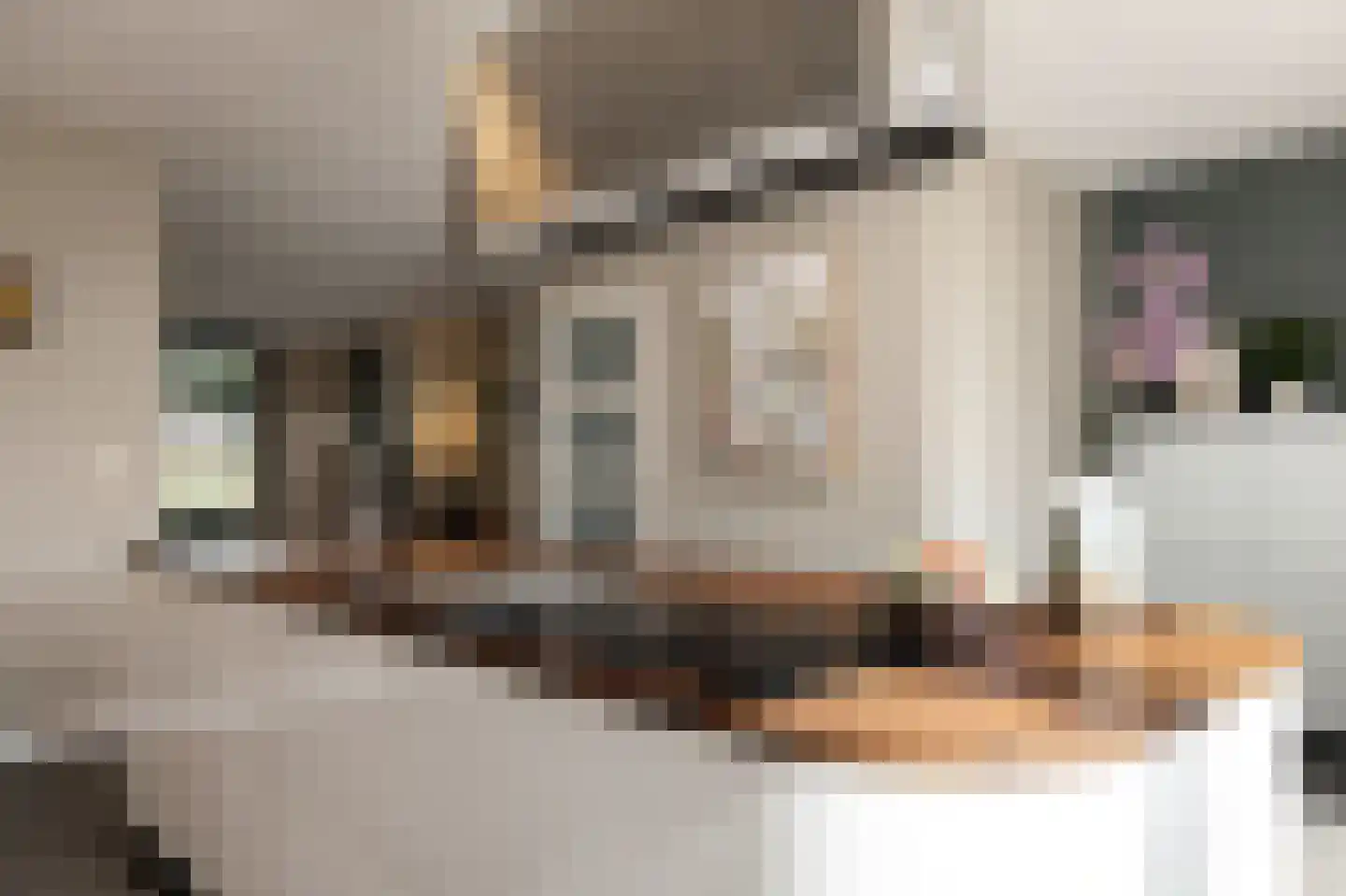 Engelenbeemden 2 Helmond thumbnail 22