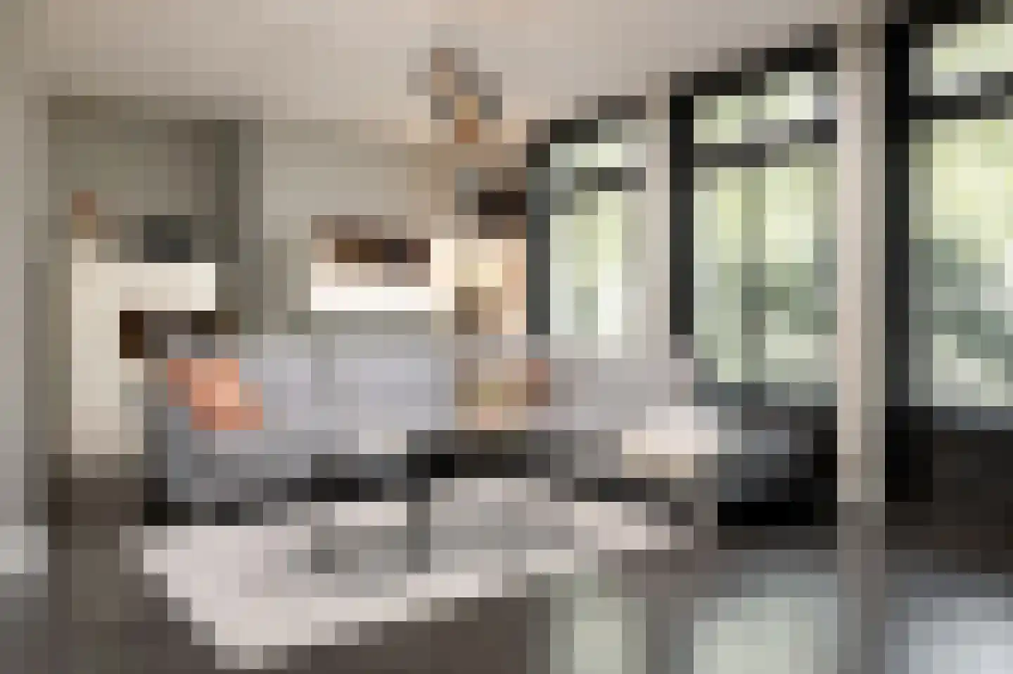 Engelenbeemden 2 Helmond thumbnail 25