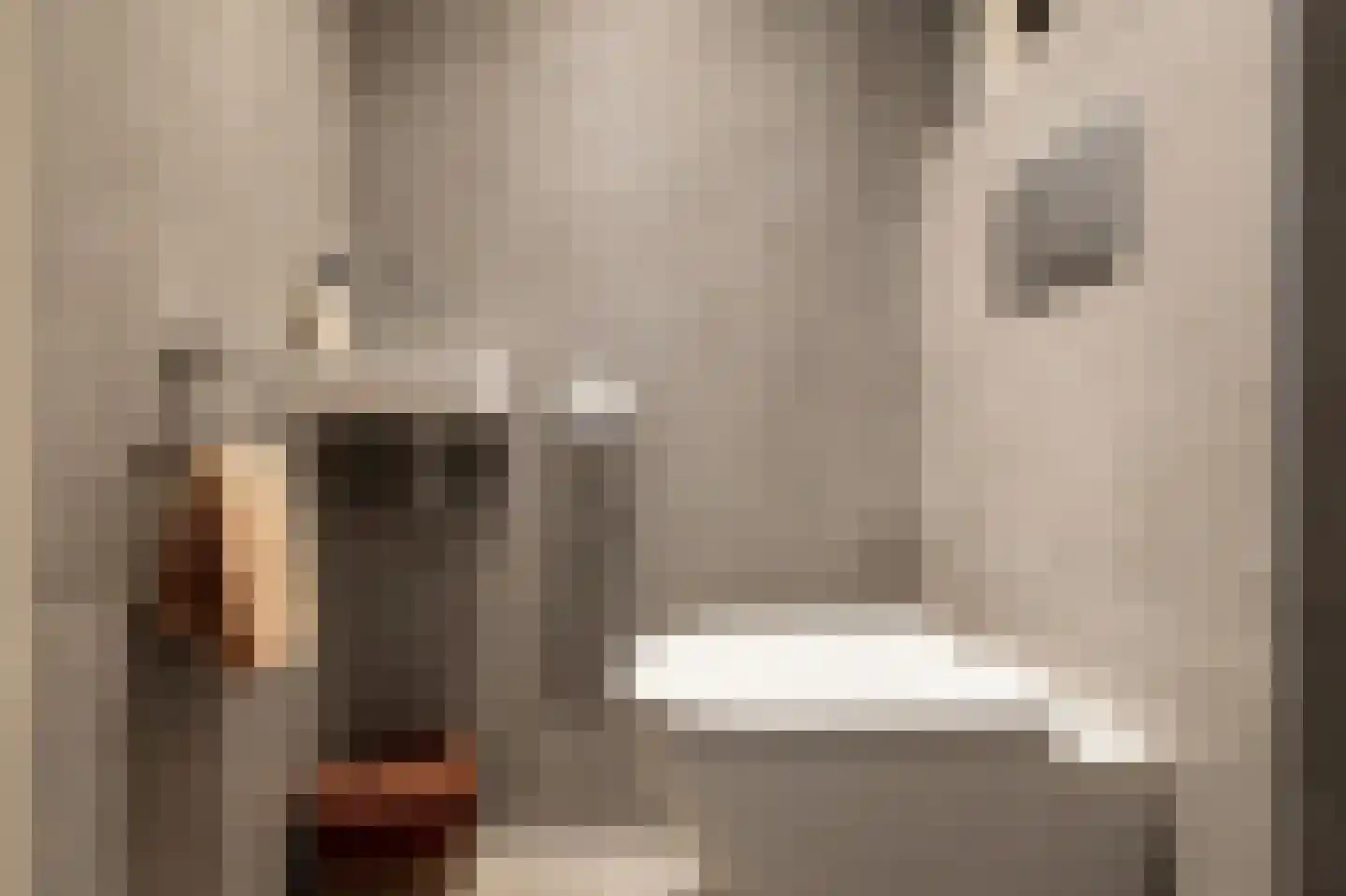Engelenbeemden 2 Helmond thumbnail 28