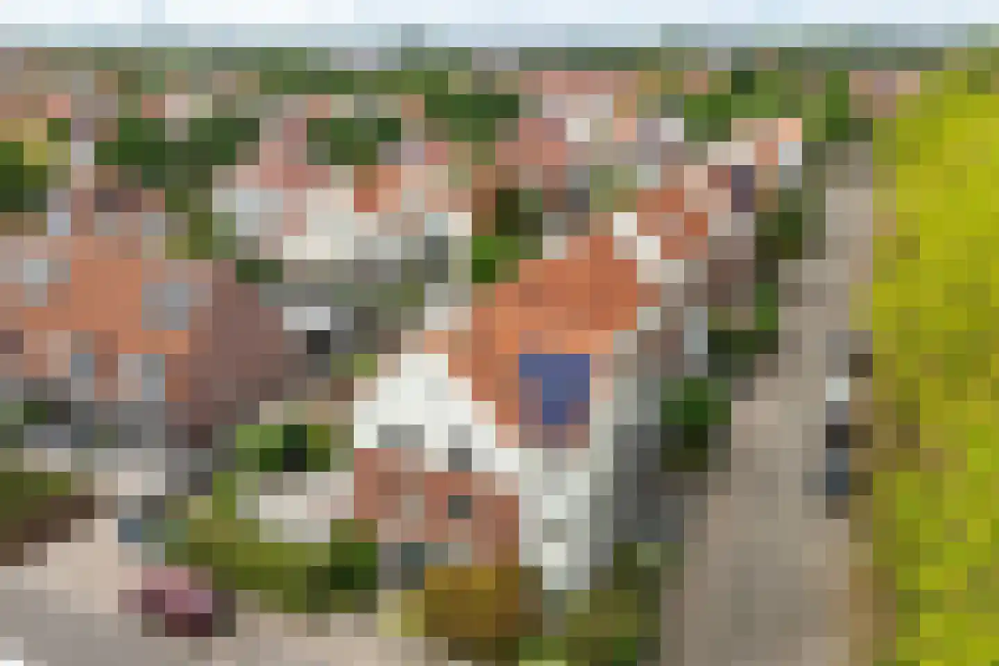 Engelenbeemden 2 Helmond foto 3